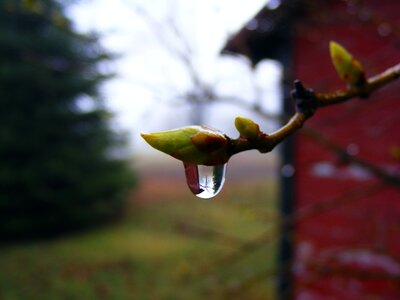 Morning water raindrop