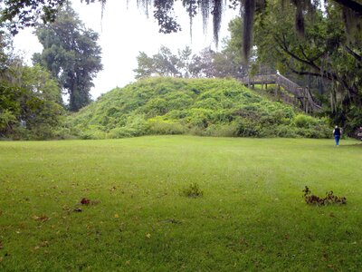 Greenery park 
