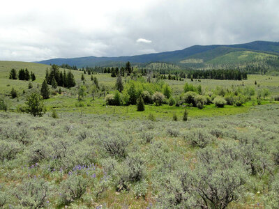 Mannix Ranch at Blackfoot Valley Conservation Area-1
