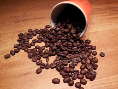 Coffee beans cup photo