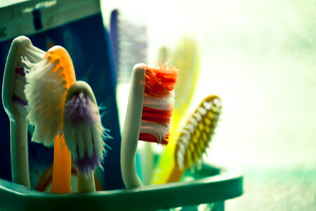 Toothbrush Bristles photo