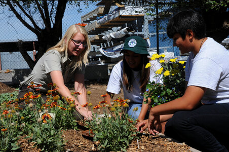 Community gardening