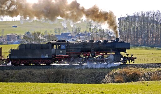 Coal engine flora photo