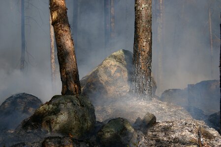 Ash smoke burning photo