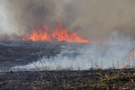 Burning field-4