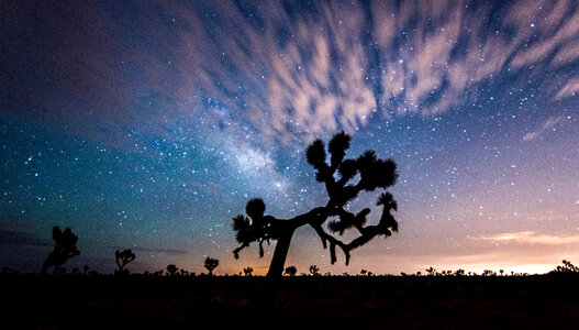 Landscape, night sky, and clouds at Joshua Tree National Park, California