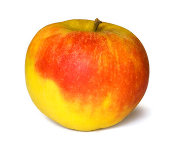 An Apple Isolated On A White Background
