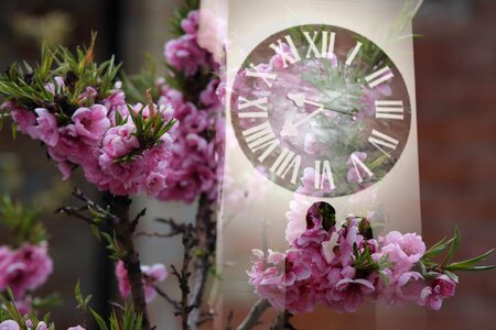 Analog Clock bouquet pink