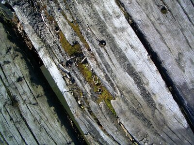 Wood board beam