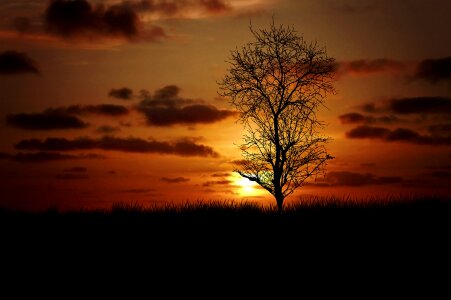 Sunset lighting nature
