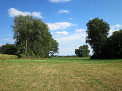 Spring landscape photo