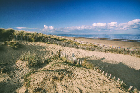 Sand Dunes photo