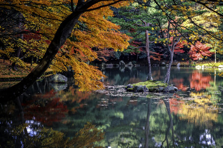 Autumn Leaves and Lake in Kyoto, Japan photo