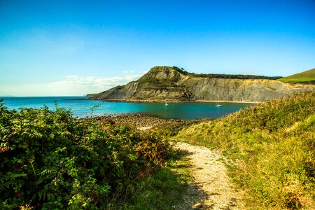 Chapman's pool nature united states of america