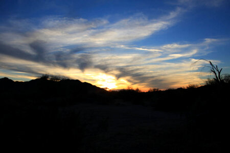 Desert Sunset photo
