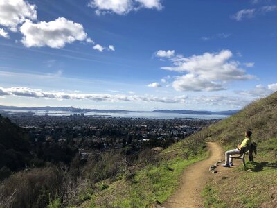 Cityscape enjoying hilltop photo