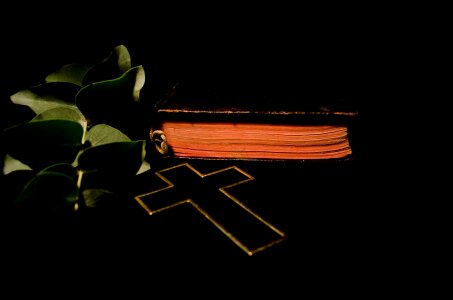 Leaf leaves christianity