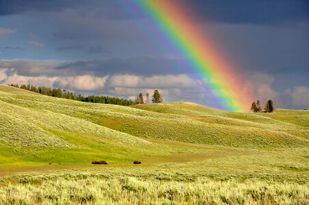 Rainbow over the Yellowstone Landscape, Wyoming photo