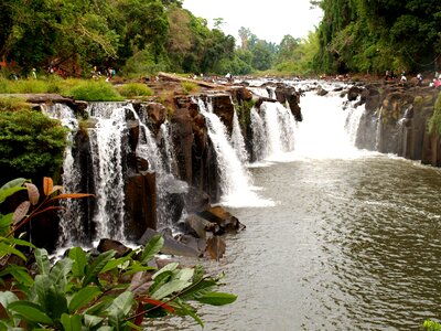 Natural forest scenic photo