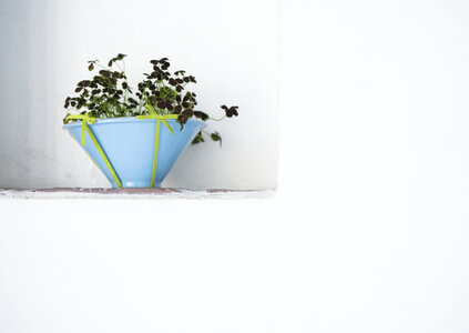 Interior design with decorative pot and plant photo