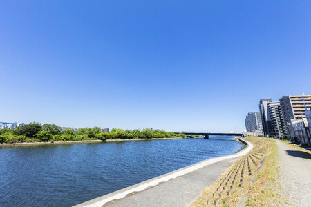 7 Tama River
