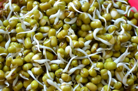Sprouts Healthy Food photo