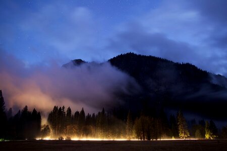 Abies clouds conifer photo