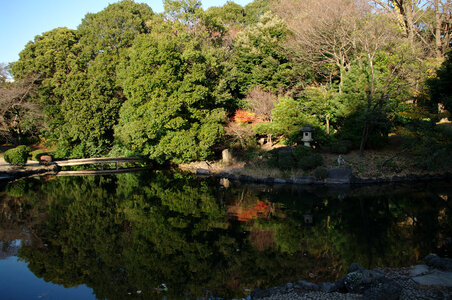 6 Shinjuku Gyoen