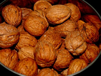 Nuts food eat