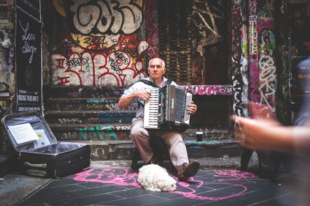 Instrument accordion city photo