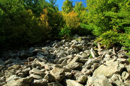 Environment landscape nature