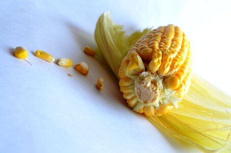 Close corn food photo