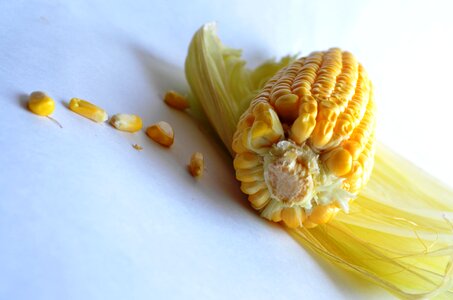 Close corn food