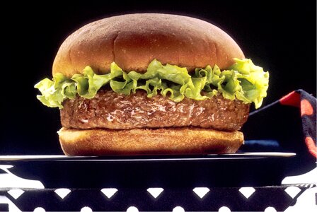 Meal beef sandwich photo