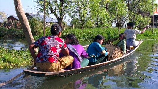 Paddle oar asia photo