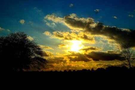 Sun sky tree photo