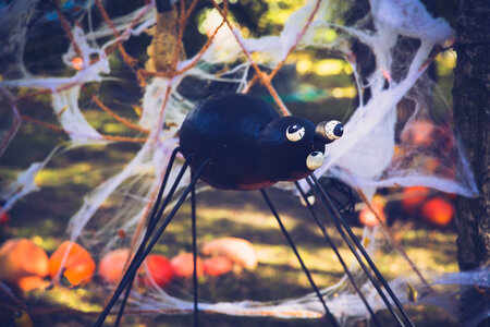 Spider Halloween Holiday Decoration photo