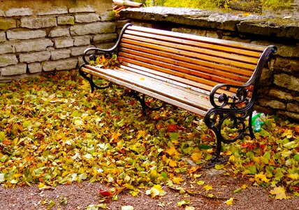 Old town autumn park tallinn