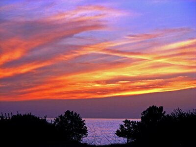 Sun abendstimmung purple photo