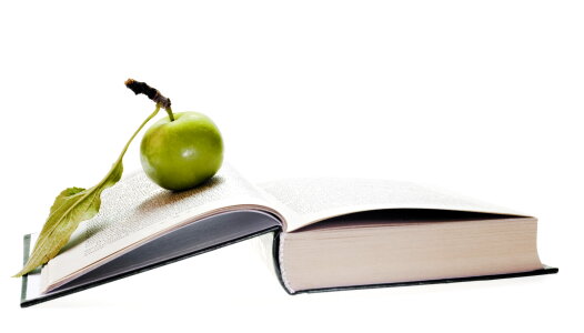 Green Apple on Book photo