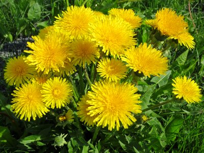 Field warm beautiful