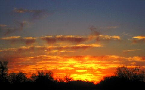 Orange yellow gold photo