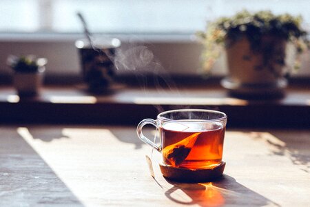 Beverage drink sun