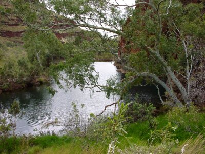 Background marsh 