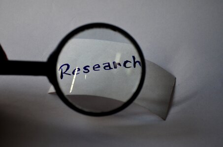 Search information discovery photo