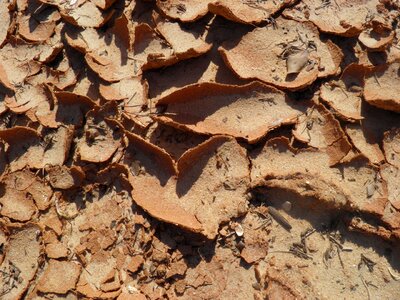 Dry earth arid photo