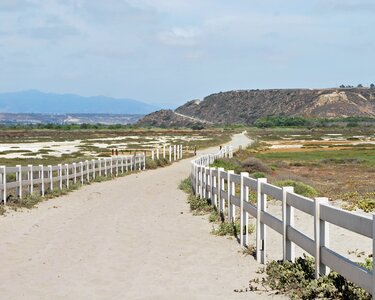 Coast sand ocean photo