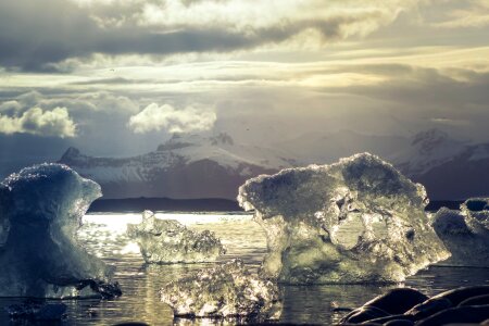 Icebergs Melting in the Sun photo