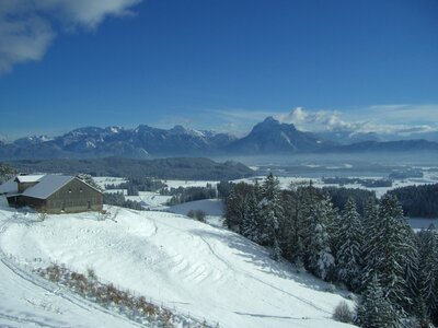 Snow winter alpine photo