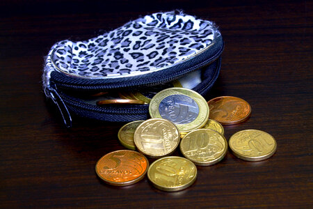 Blue Purse Wallet with lots of coins photo